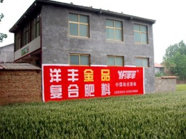 监利如何让墙体广告展现最大化效果