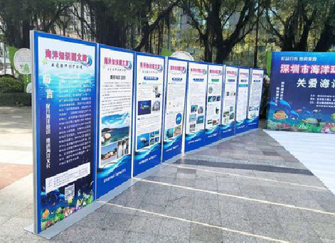 监利KT板的种类和知识。